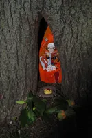 Icon in Tree Icon in Tree