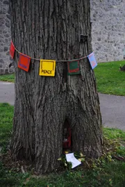 Tree Shrine Tree Shrine