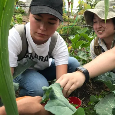 Two female students examine plant leaves in a garden
