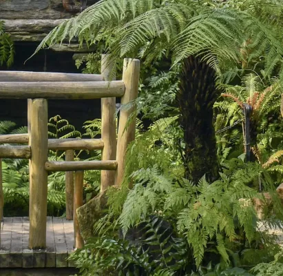 This image depicts green fauna and flora with the edge of a wooden log bridge