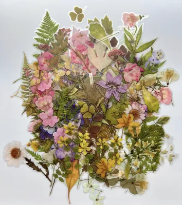 This image depicts stickers made of pressed flowers 
