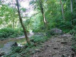 crum woods trees and creek