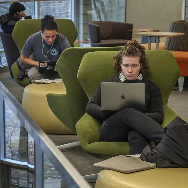 Studying in the library
