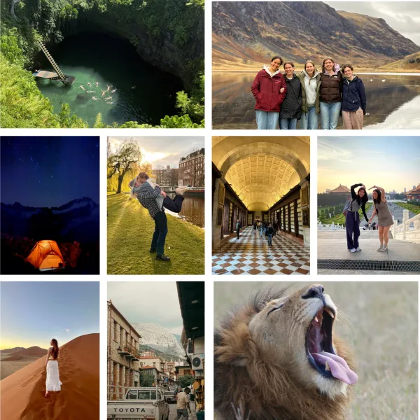 college of global images including a lion, tent at night, dunes, and a checkered hallway.
