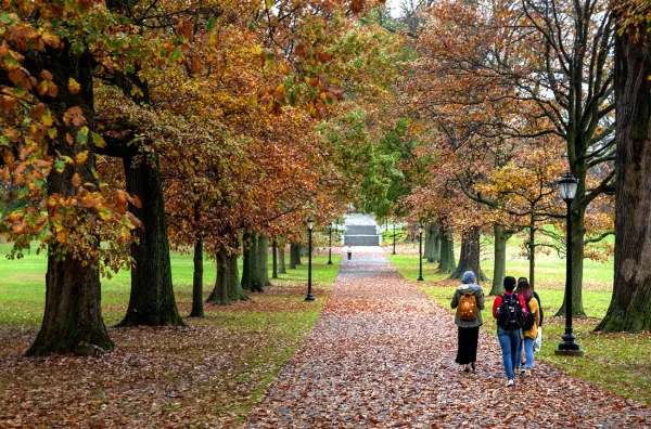 students walking up magill walk