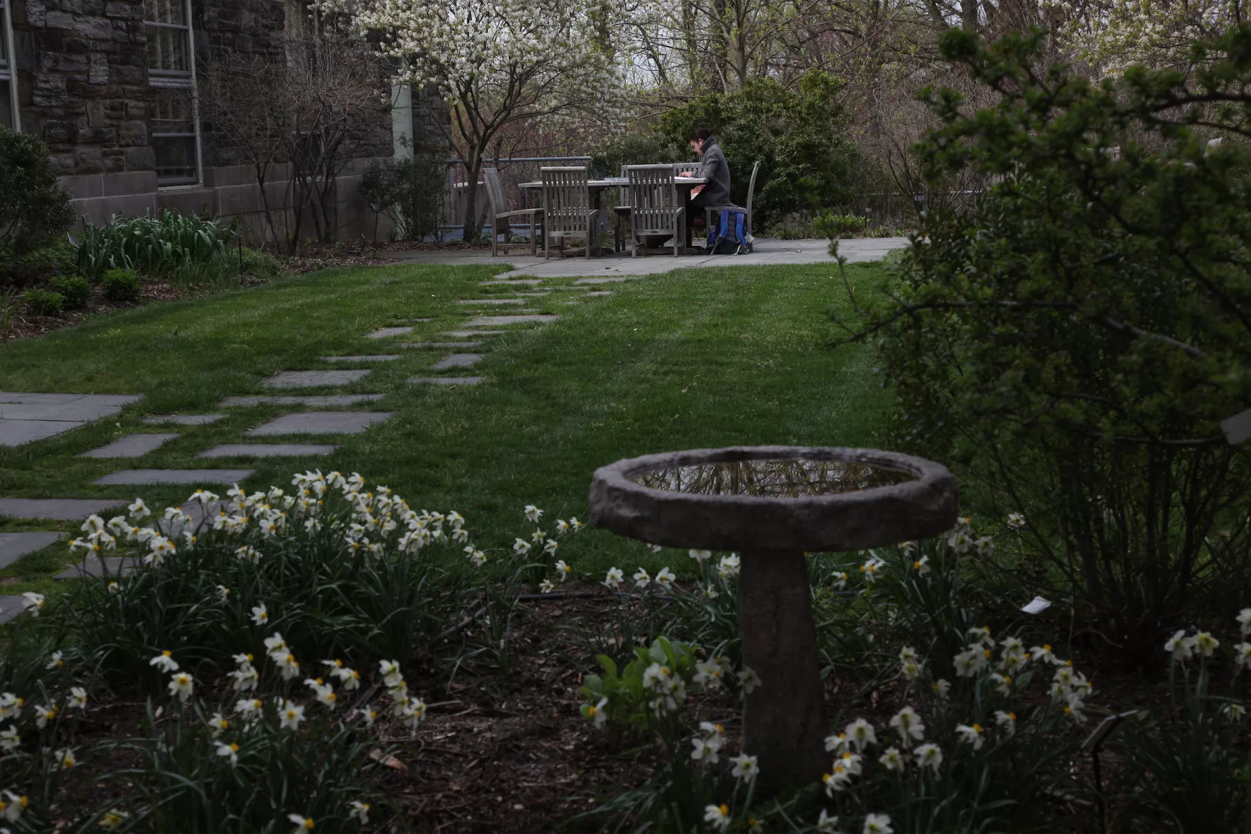 student studying at table in pollinator garden