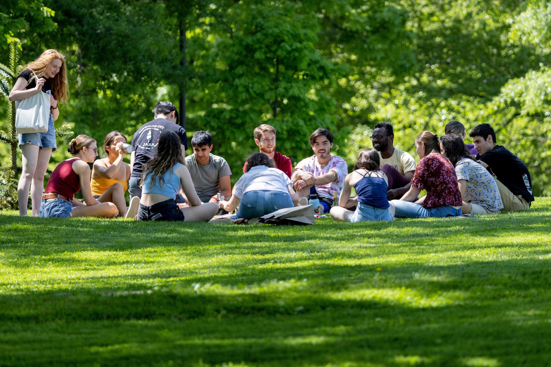 A group of Swarthmore students sit on the grass in dappled shade on the campus of Swarthmore College.