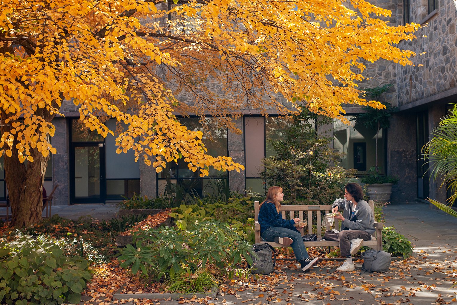 Students sit on bench underneath fall foliage