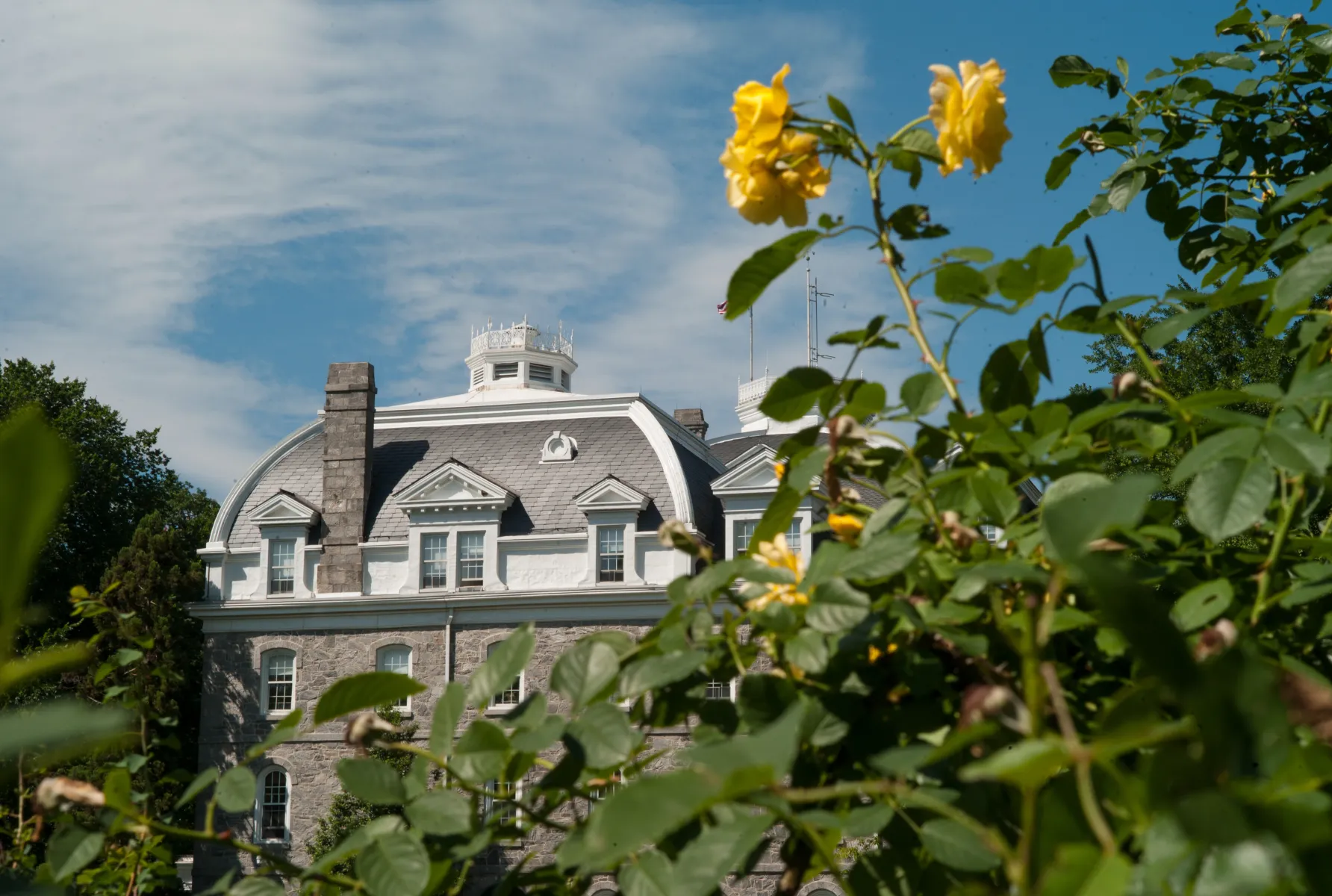 Parrish Hall as seen from the Dean Bond Rose Garden
