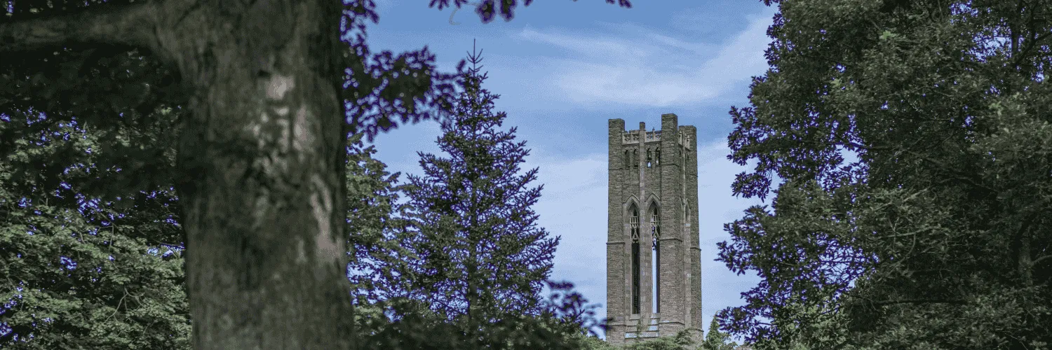 Clothier Bell Tower through the Trees