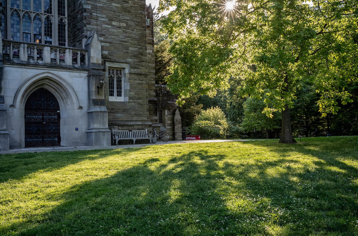Sunlight on the grass in front of Clothier Hall