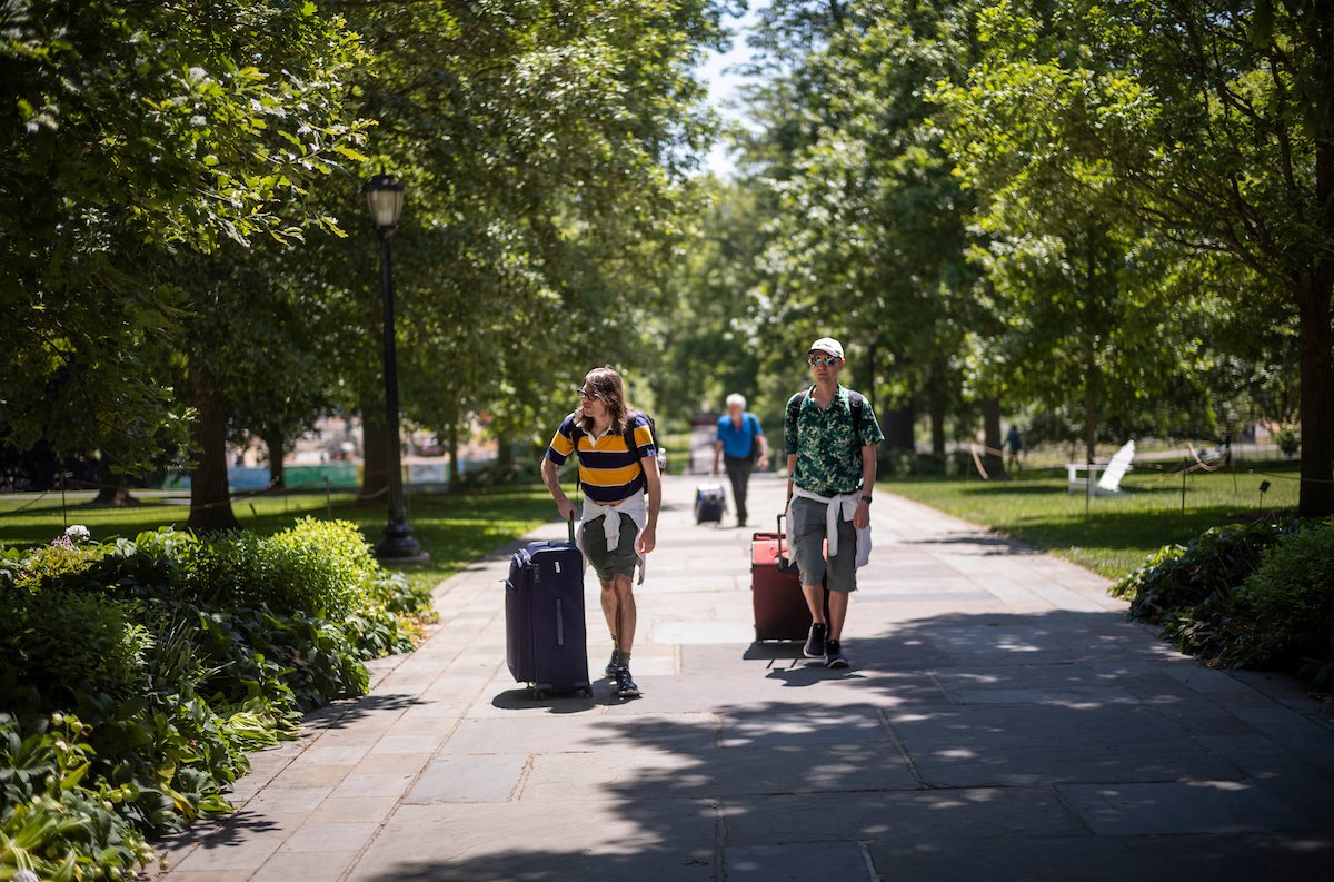Alumni roll suitcases up Magill Walk