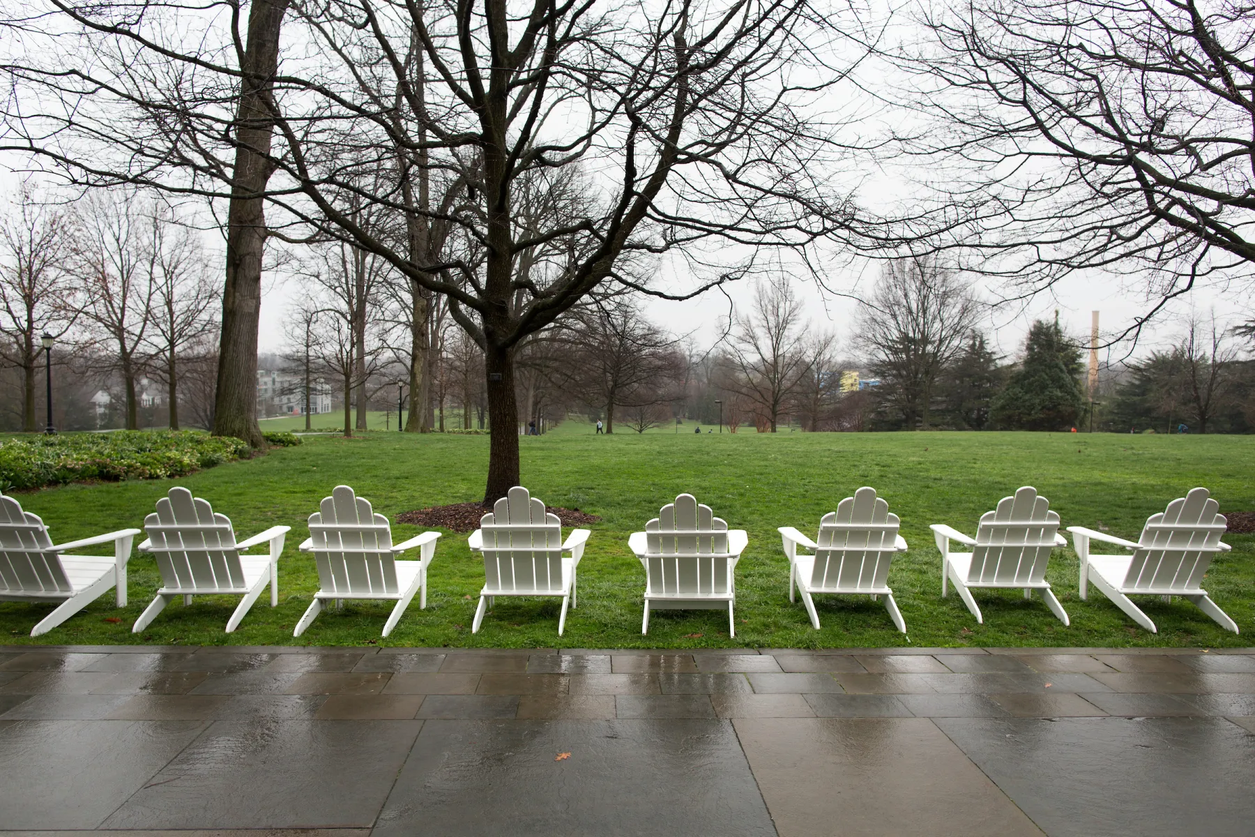 A row of empty Adirondack chairs on Parrish Beach