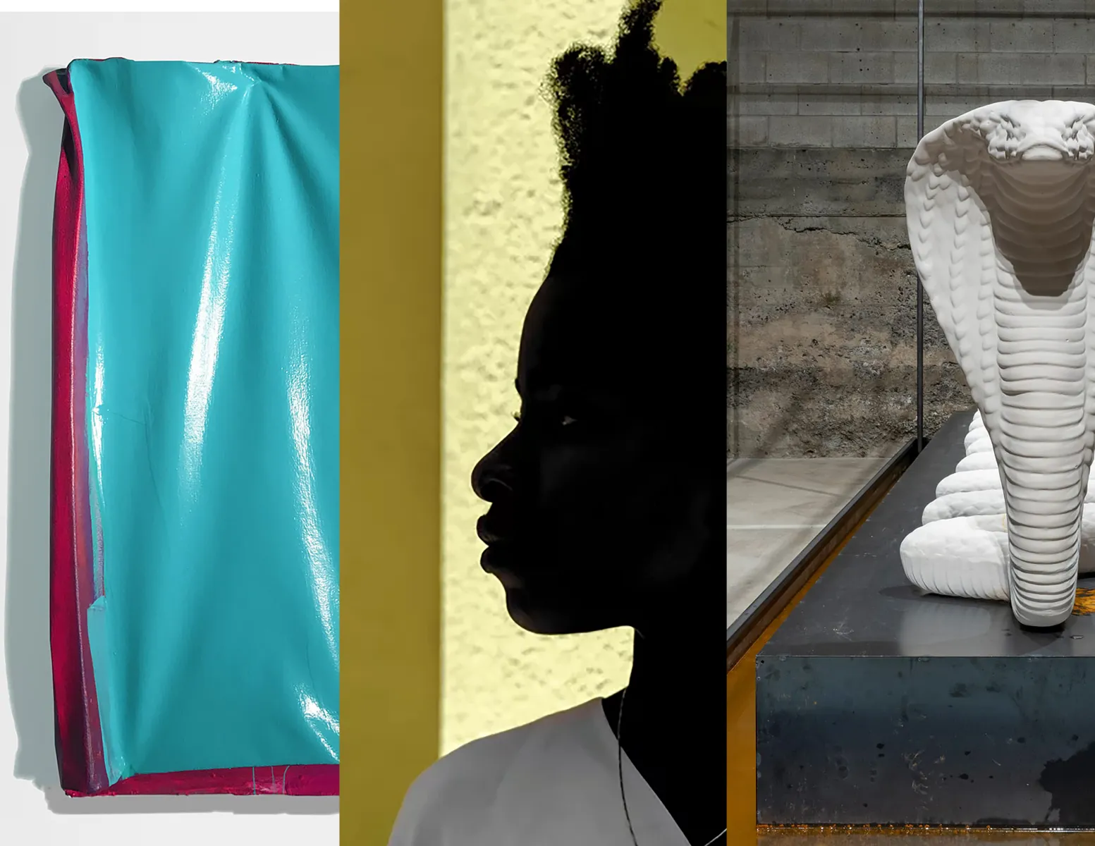 Visiting Artist Colloquium collage image