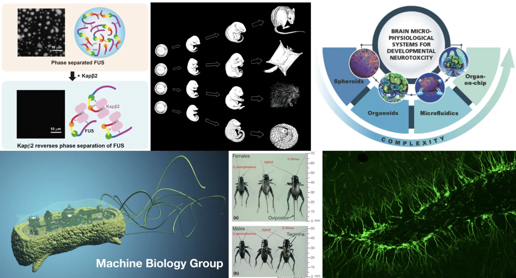 BIOL 97 image