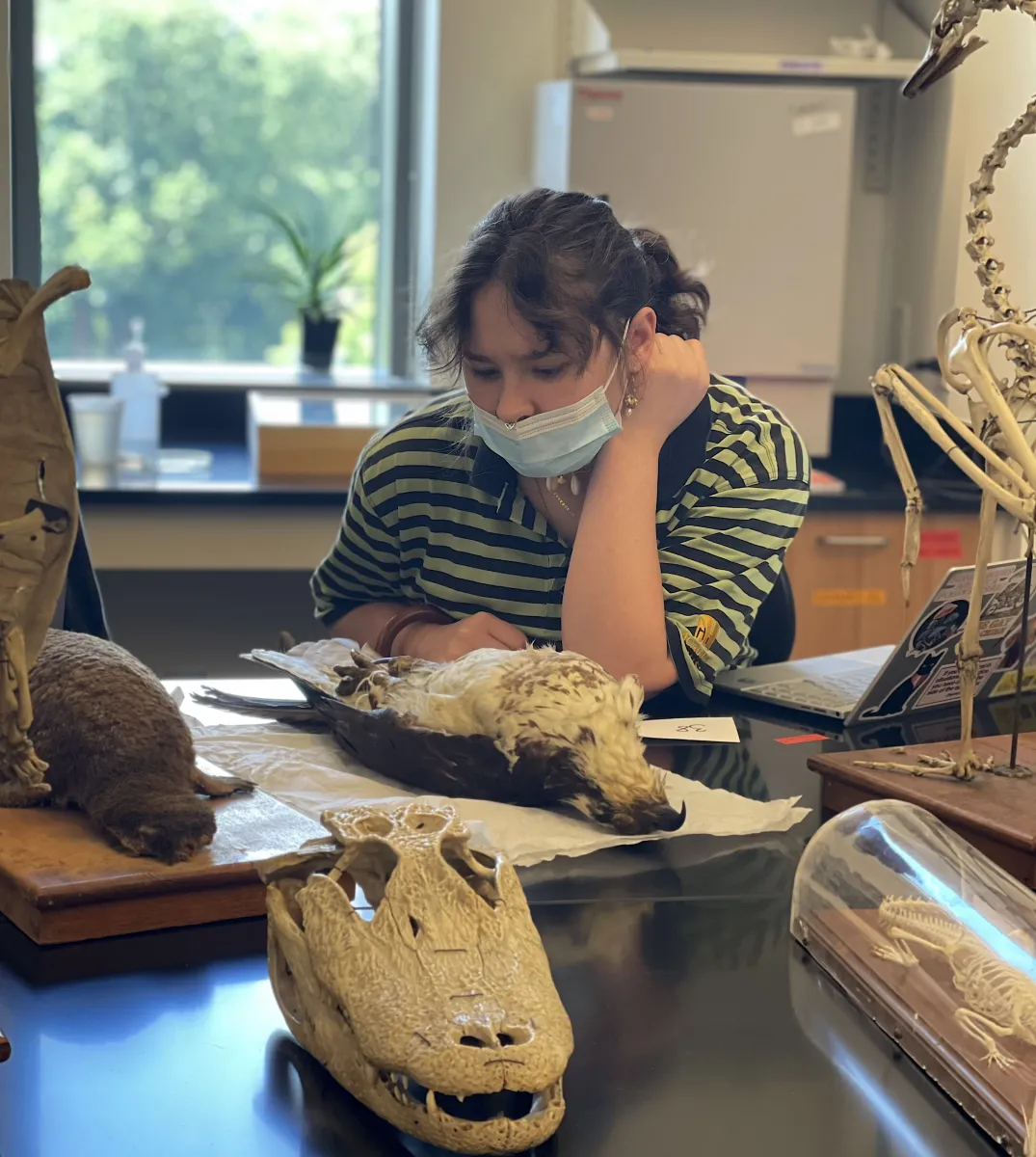 Conservation lab student