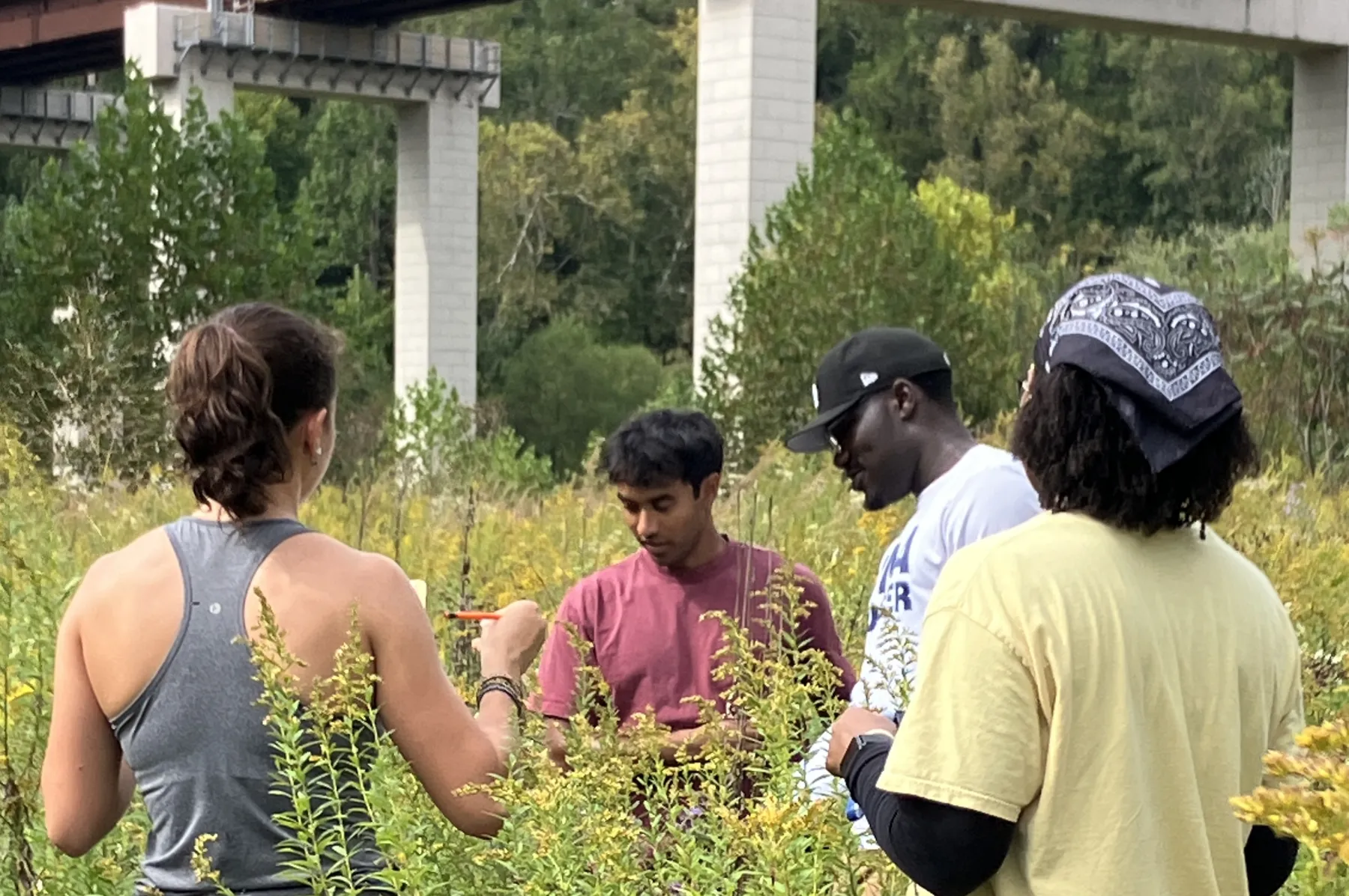 students working in the field