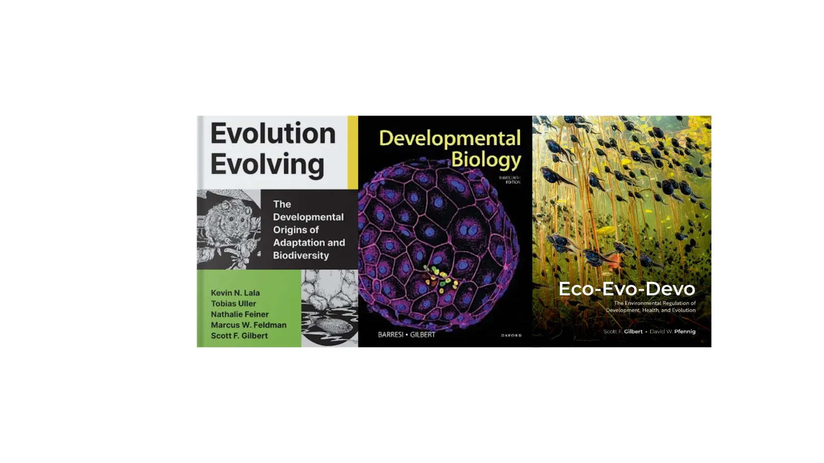 3 textbook covers
