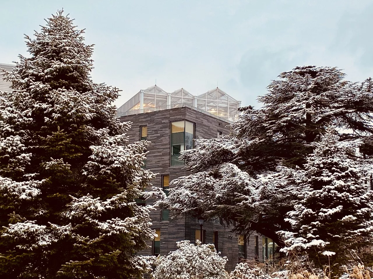the new greenhouse atop Singer Hall