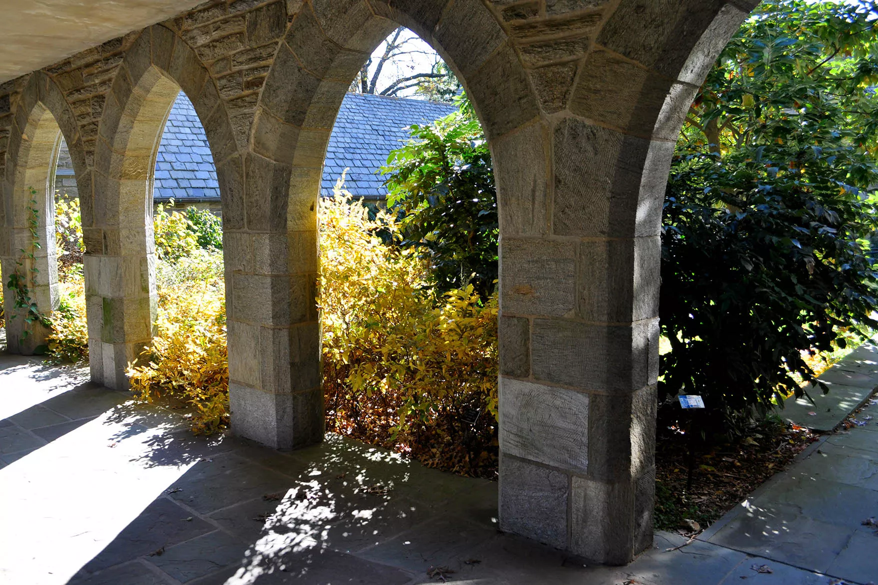 Swarthmore College Walkway - Clothier Memorial Hall