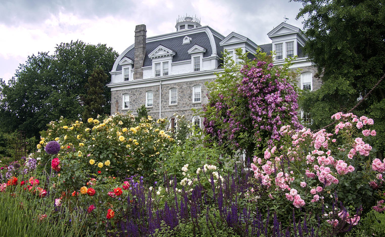 rose garden and parrish hall