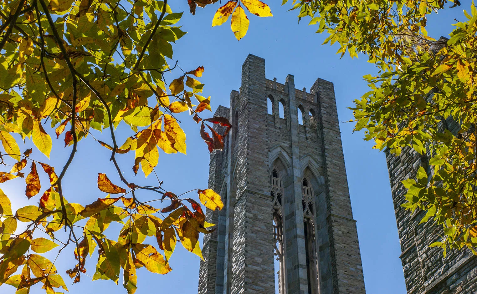 clothier tower in the fall