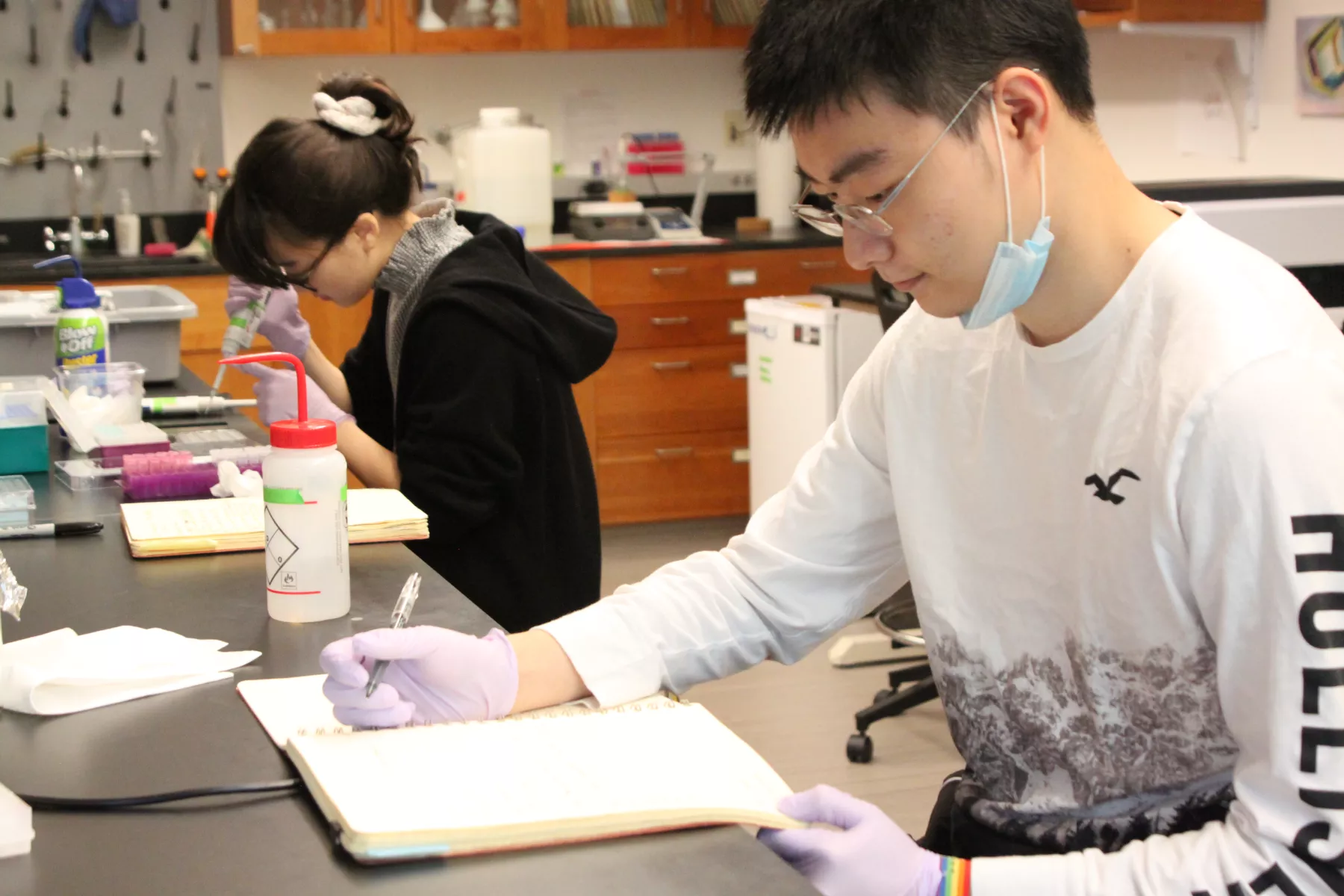 Photo of students studying