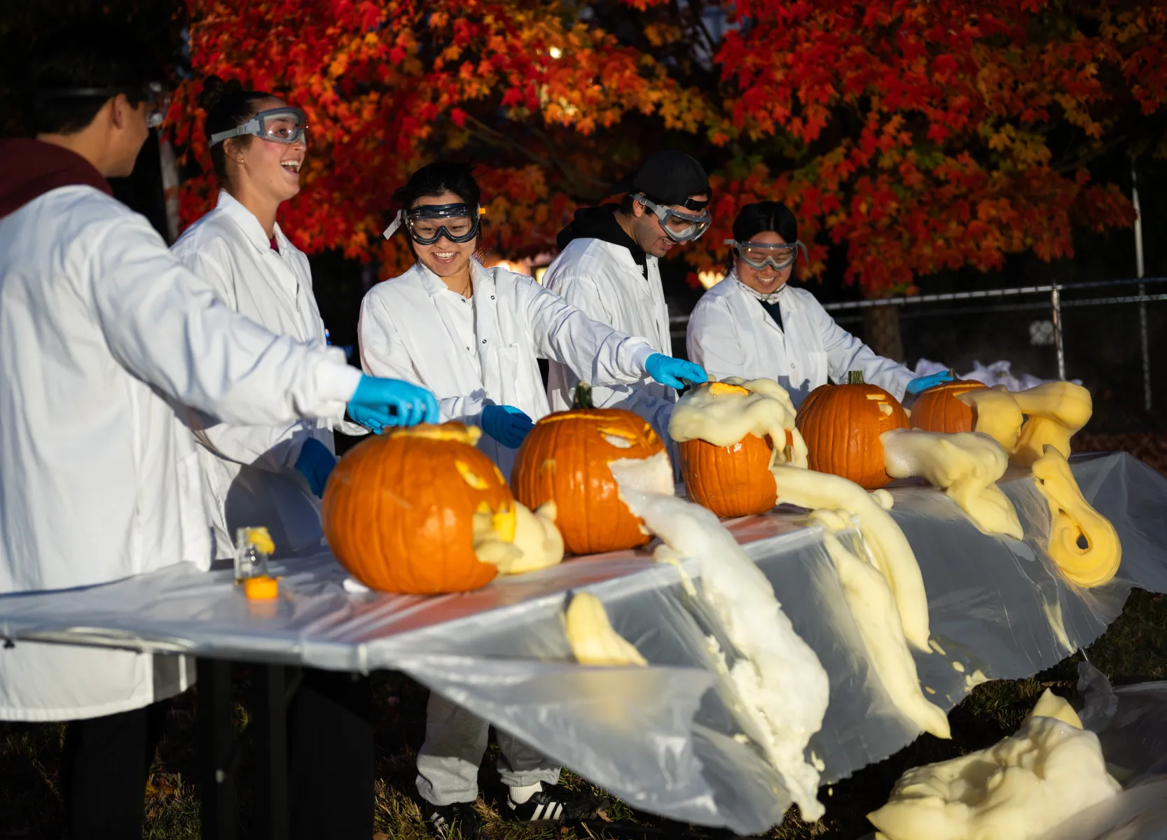 Students conducting science experiment with pumpkins.