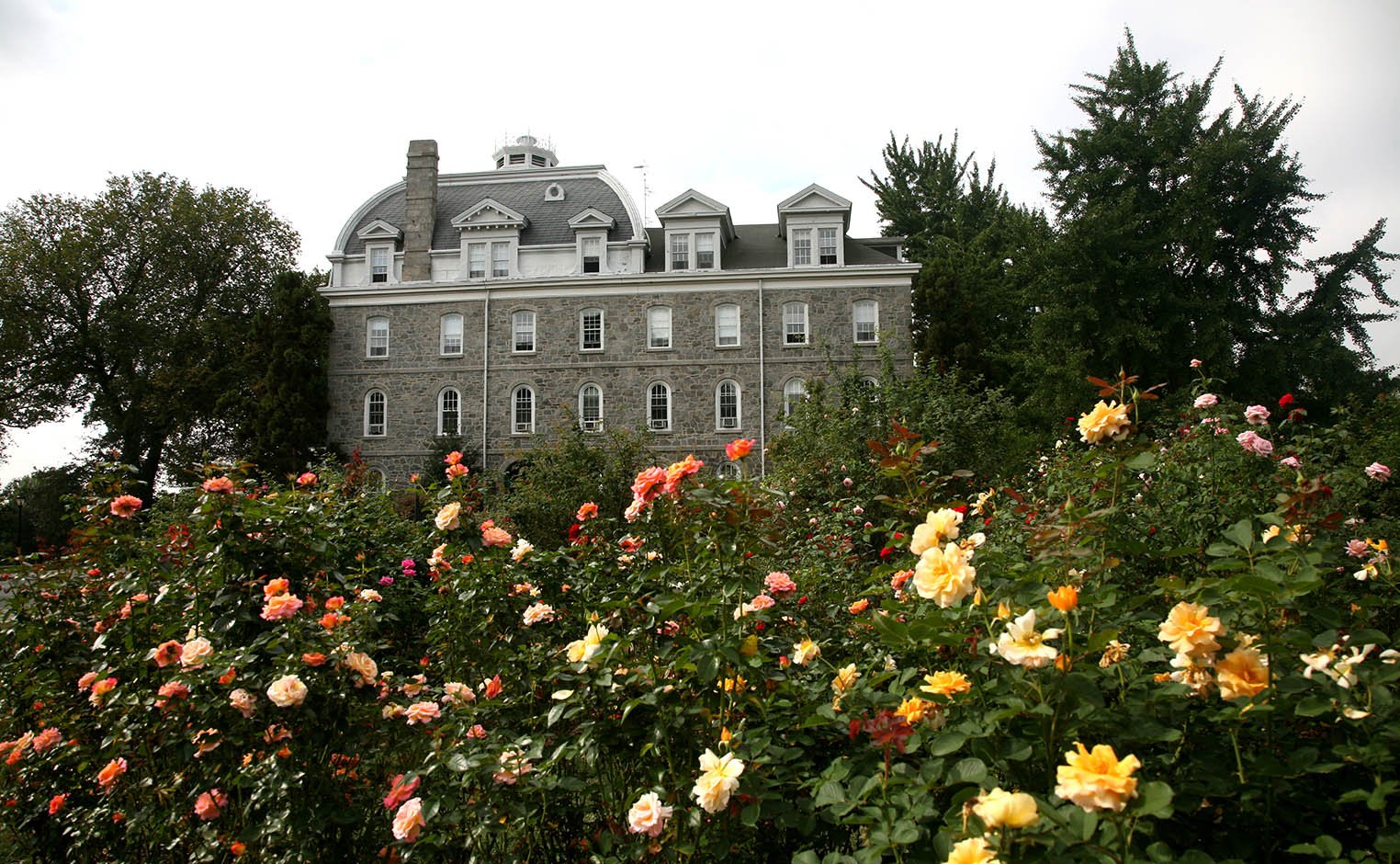 Rose Garden and Parrish Hall