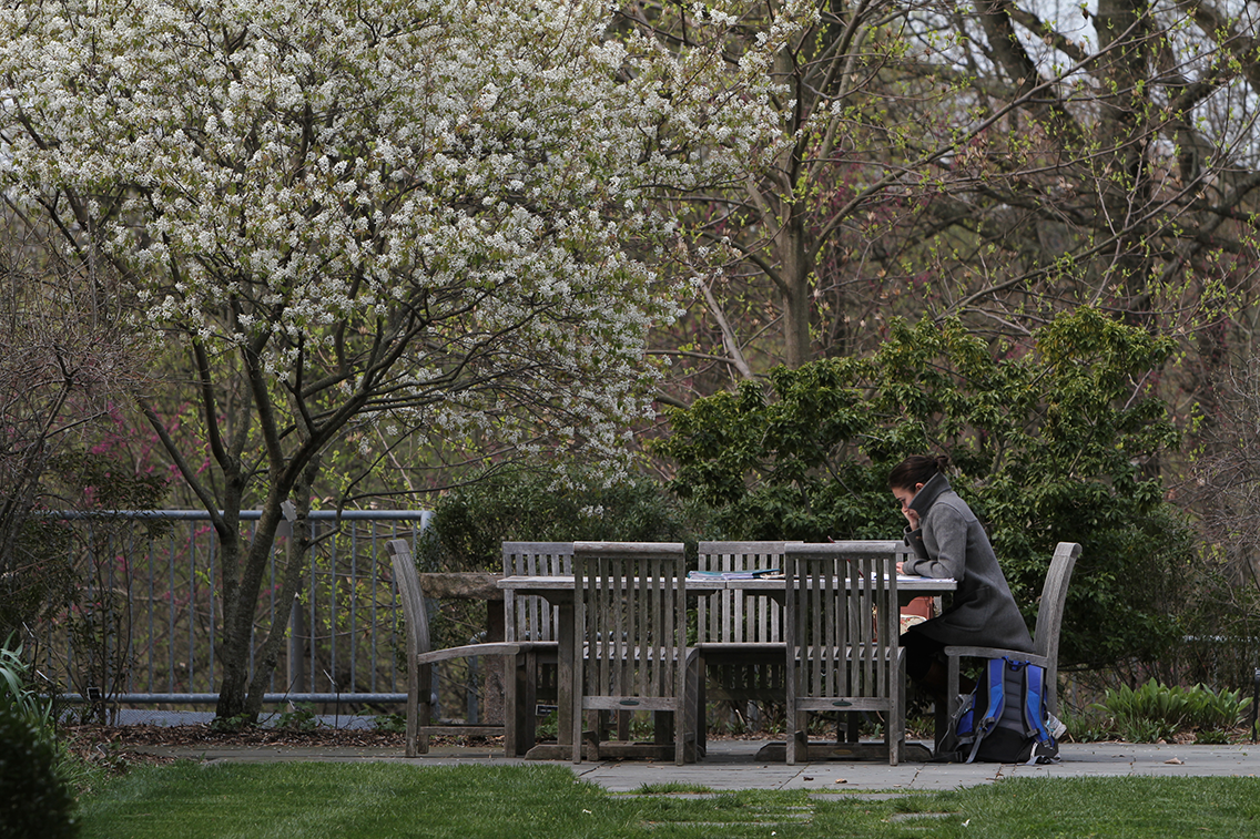 Photo of student reading outside at a table