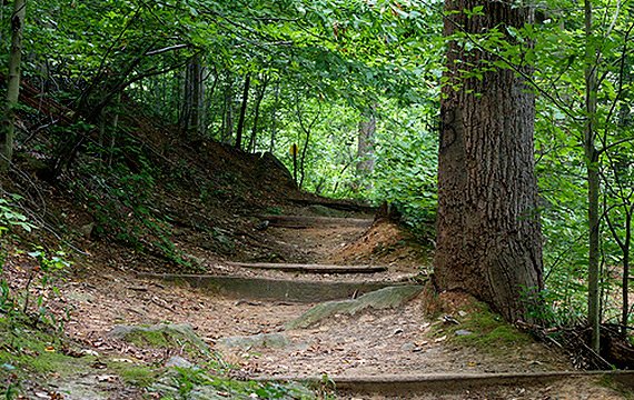 Crum Woods Trail