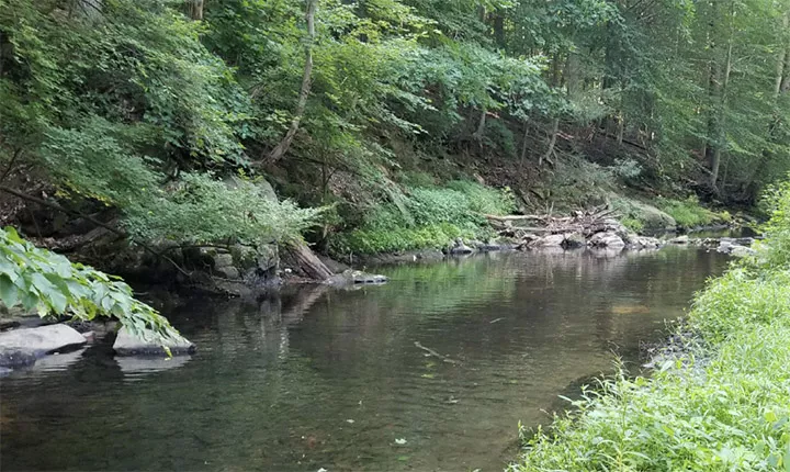Crum creek in spring