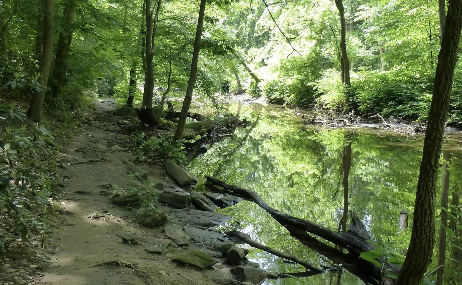 crum woods