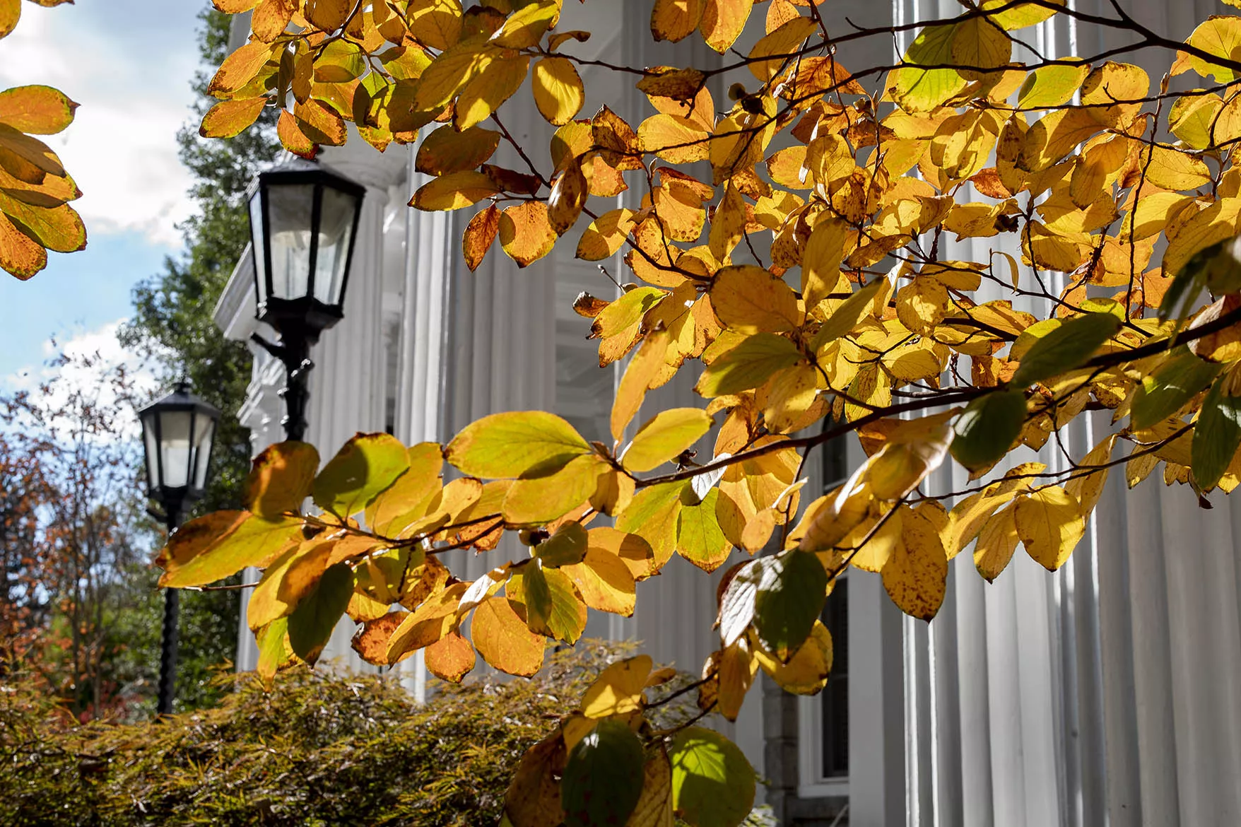 Parrish Hall in the Fall