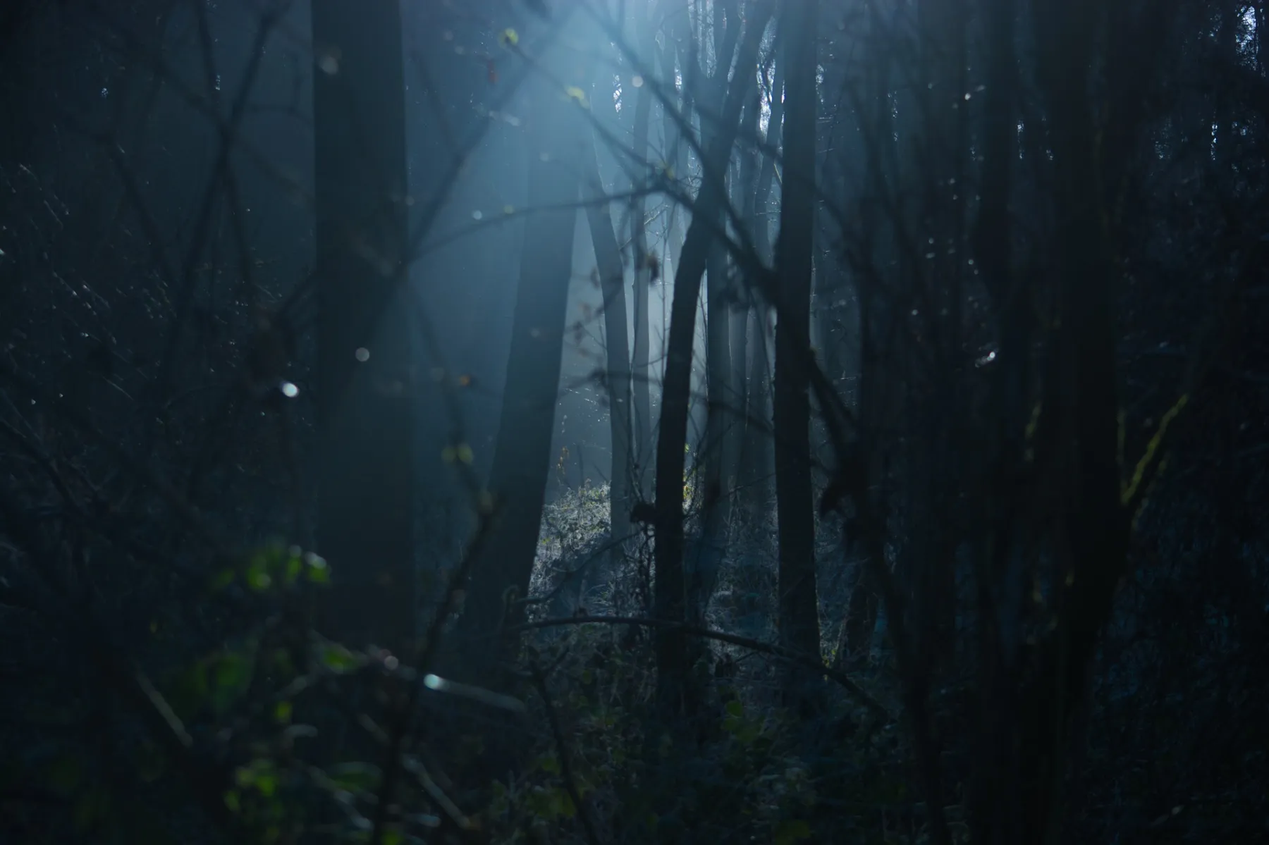 sound design photo