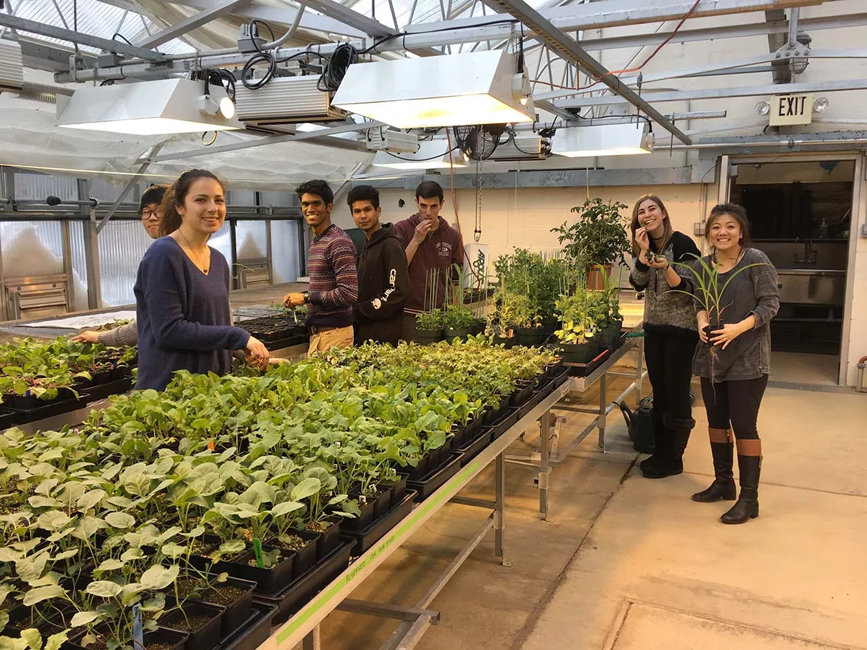 Greenhouse