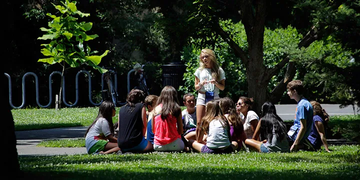 Summer Programs