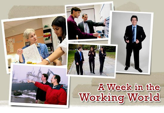 A Week in the Working World