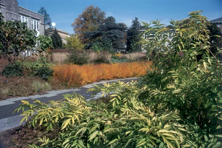 Nason Garden