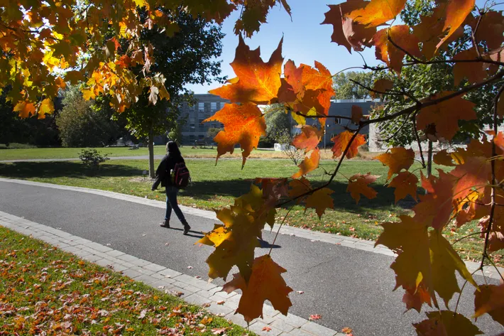 Student walking beneath fall foliage