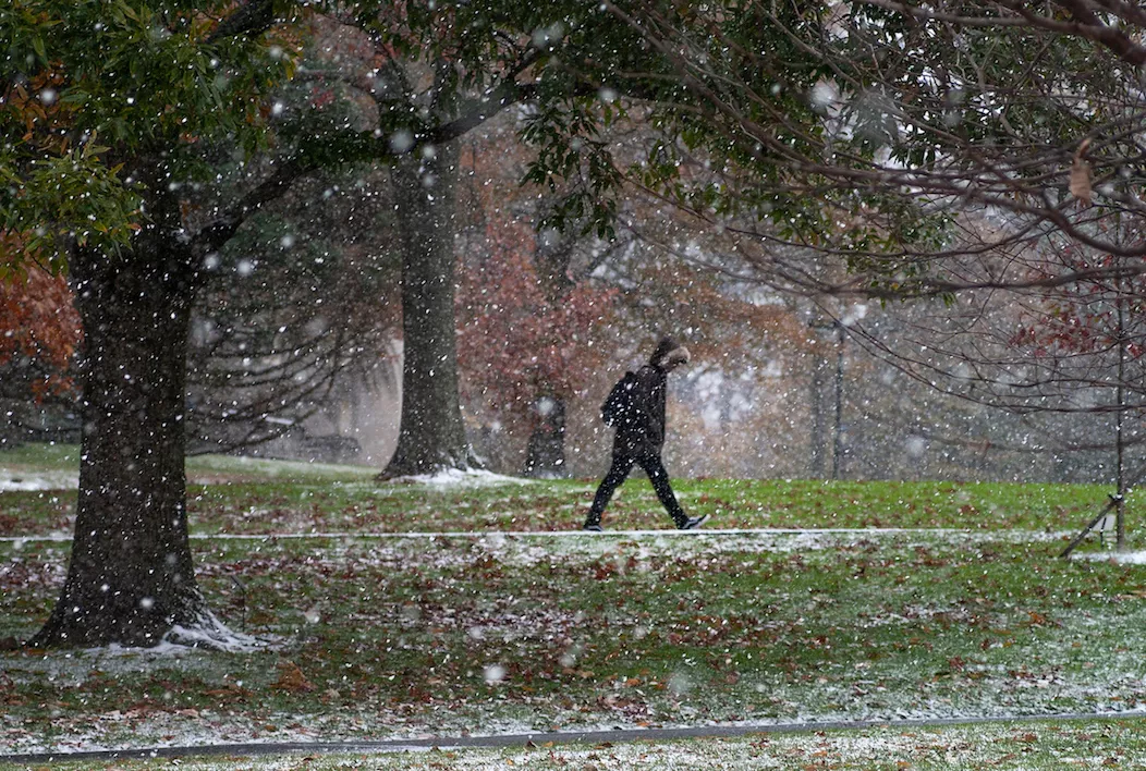 snow and student