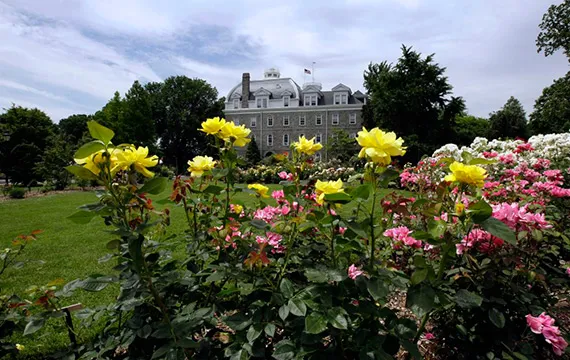 Spring View of Parrish Hall from a Distance