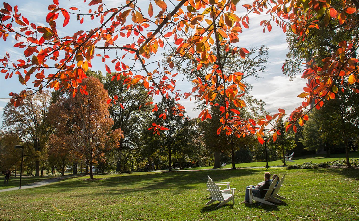 fall colors on campus