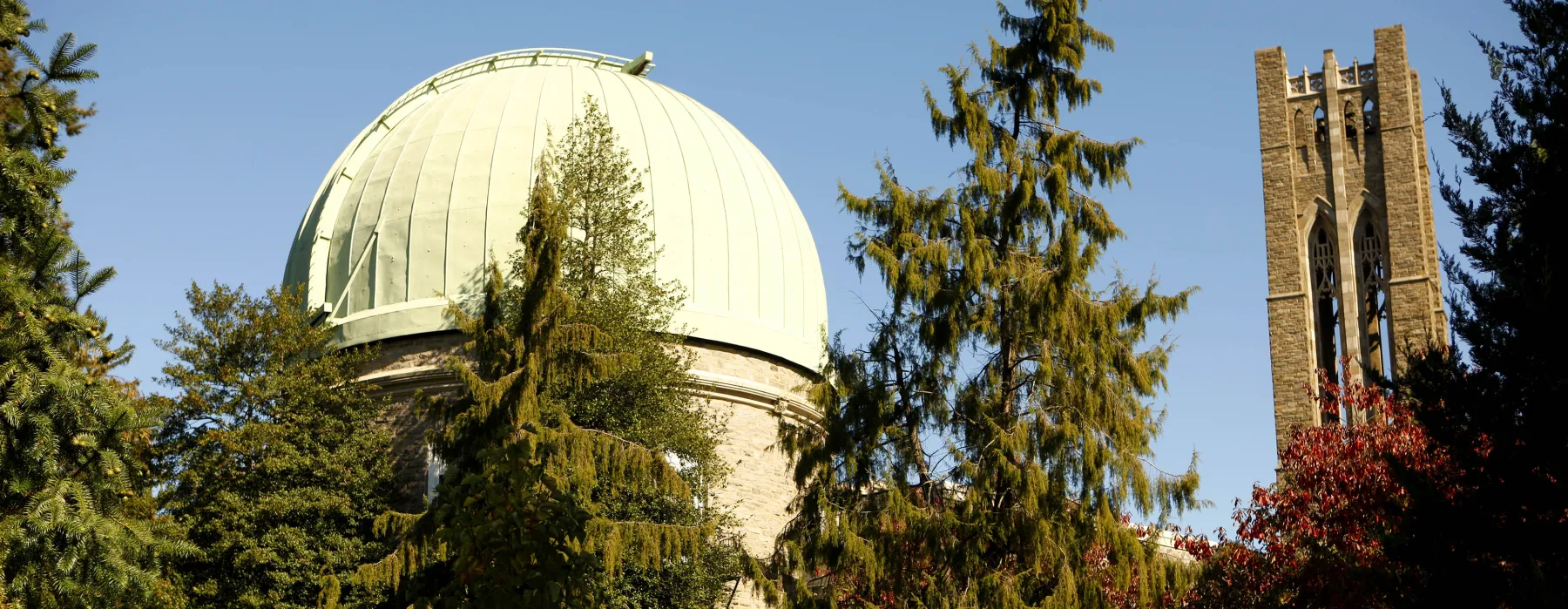 IC Dome
