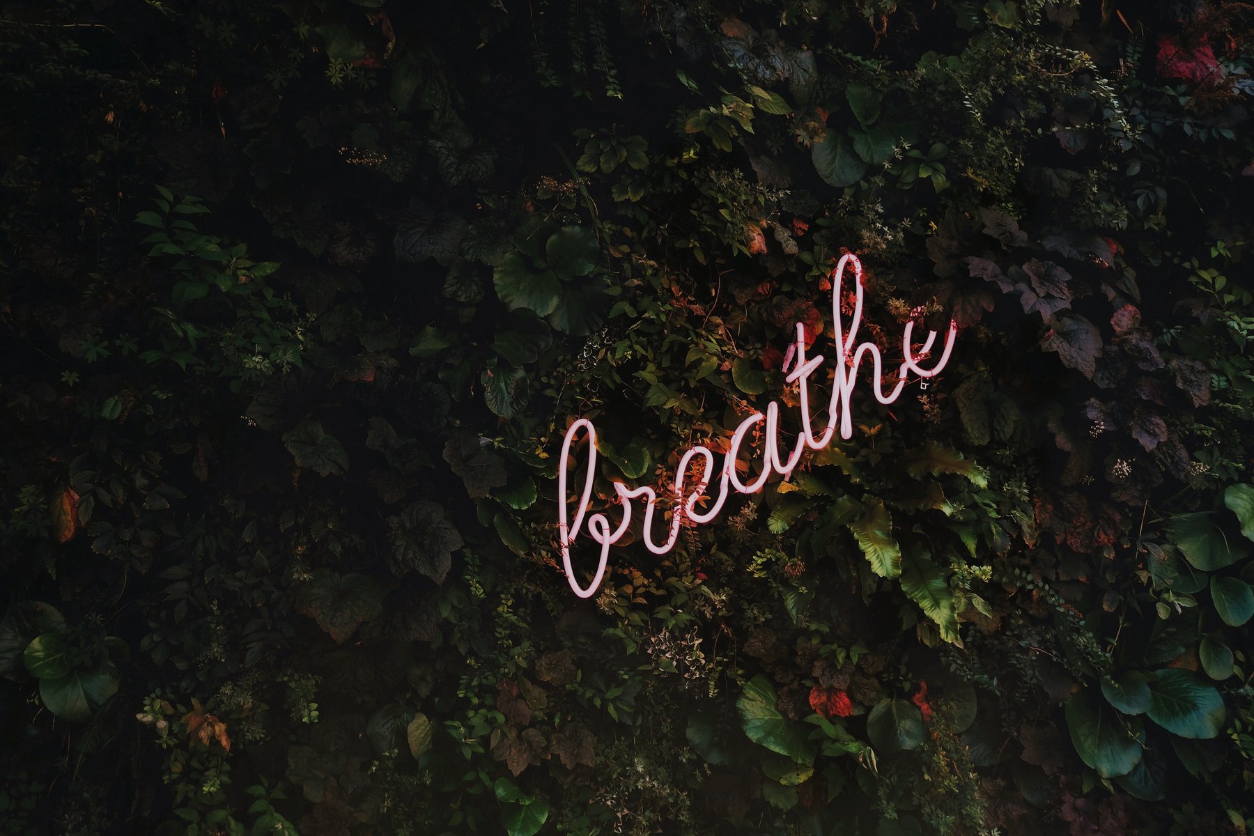 Just breath
