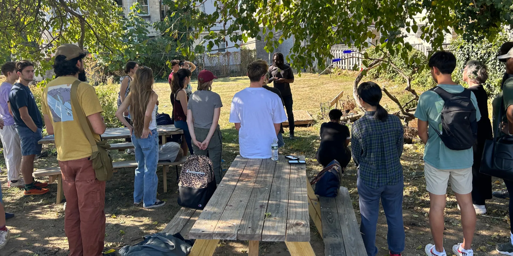 Students in class outdoors under a tree