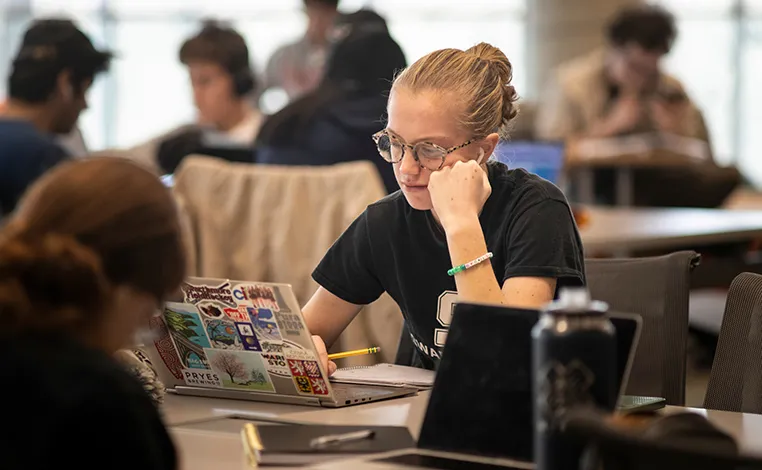 student studies in Cornell library