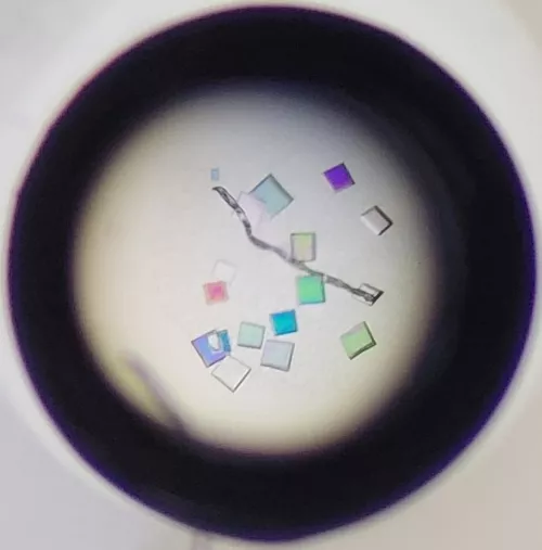 EK-Br3 crystals grown by Kailey Martin