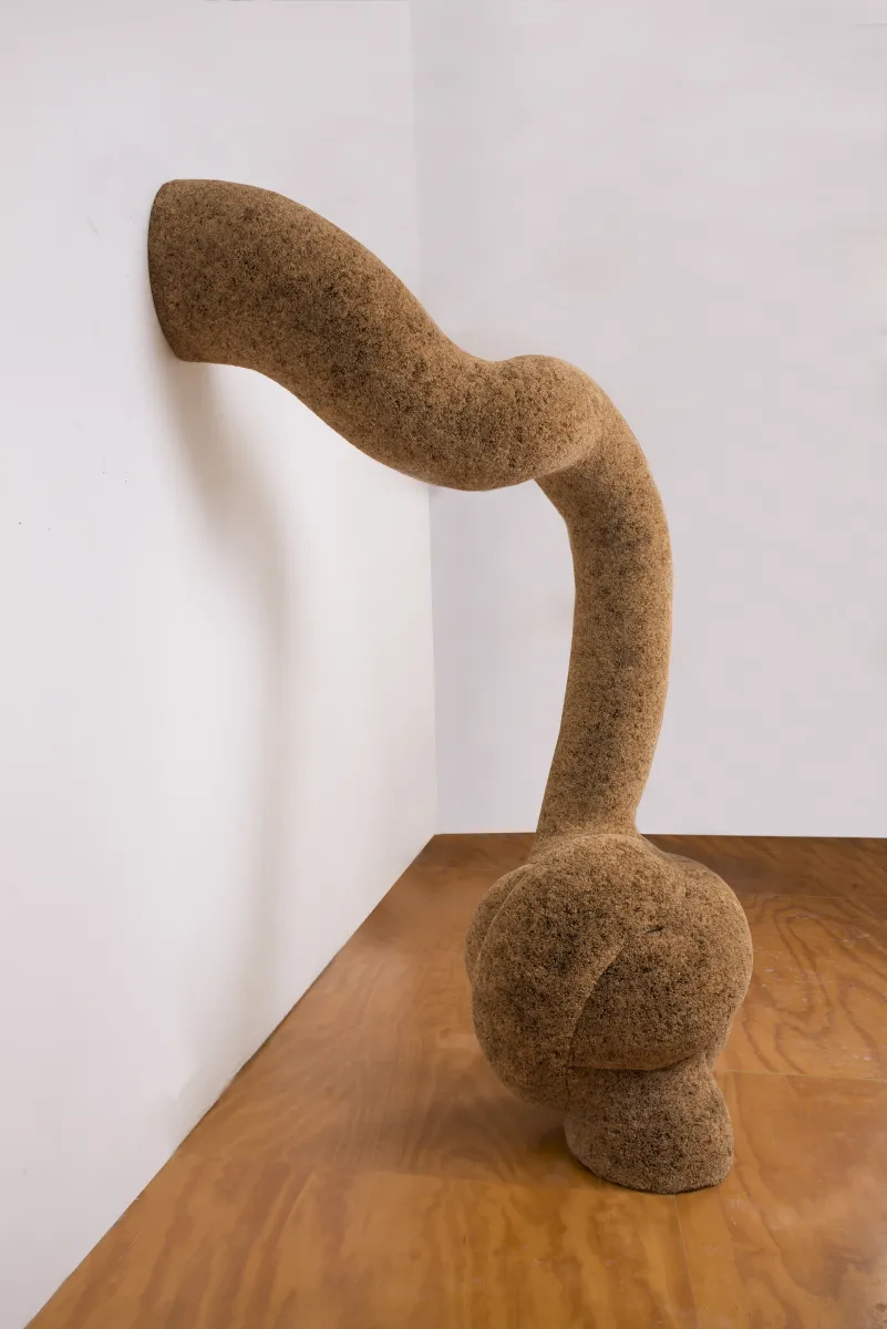 Big Knot, 2019, rice stalks, cotton, linen, insulation foam, epoxy resin, plywood, 89 x 32  x 50 inches. Courtesy of the artist. Photo by John Carlano