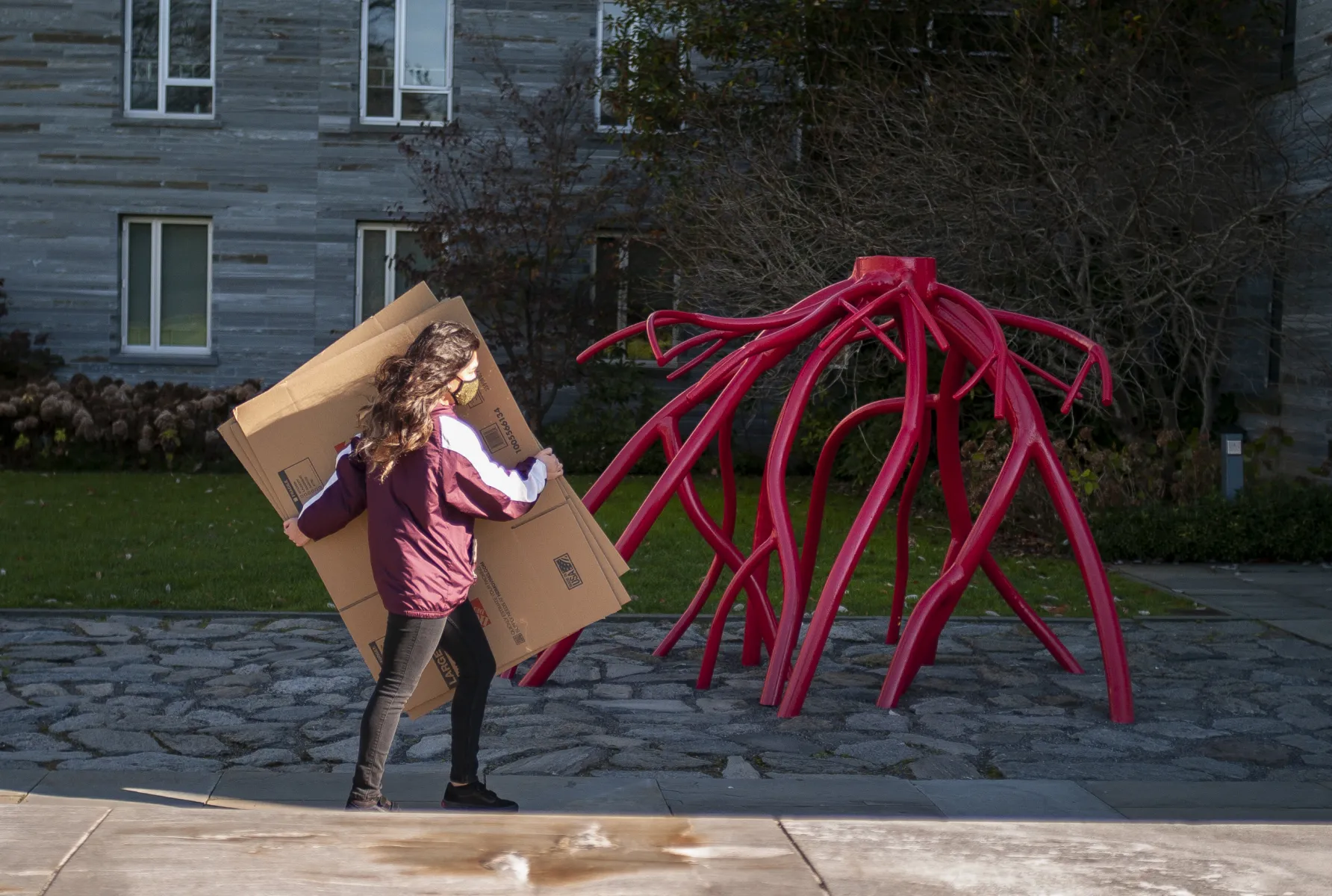 Student carries boxes near Alice Paul
